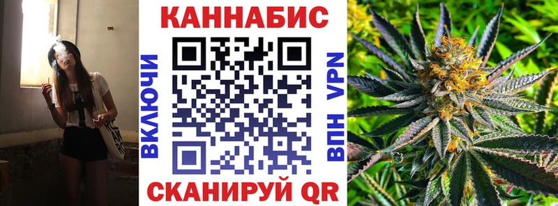 Шишки марихуана Amnesia где купить наркоту Чекалин